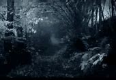 Image result for GIF Man Walking in Woods