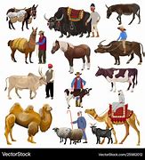 Image result for Farm Animals Toob