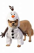 Image result for Cujo Costume for Dog