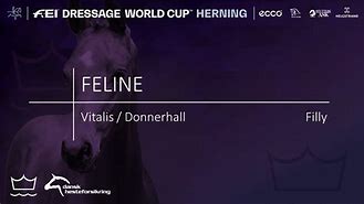 Image result for Féline Beauty