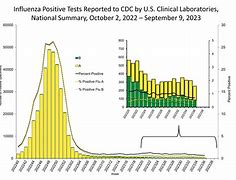 Image result for Influenza Virus Picture