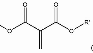 Image result for Malonate Ion