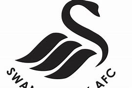 Image result for Swansea City PNG