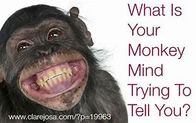 Image result for Monkey Mind for Kids