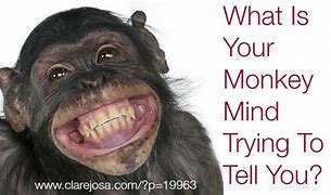 Image result for Monke Mind Blown