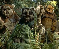 Image result for Ewok Movie