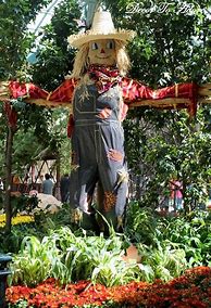 Image result for Garden Scarecrow Ideas