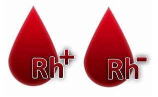 Image result for RH Blood Group System