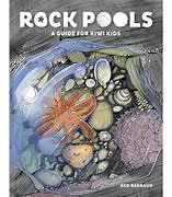 Image result for Stunning Rock Pool Images in NZ