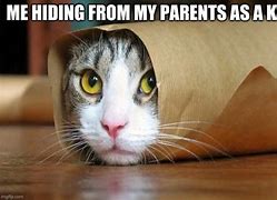 Image result for Hiding Meme