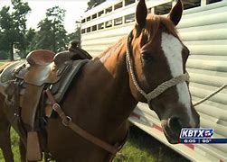 Image result for Sam Houston State University Rodeo Team