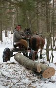 Image result for Draft Horse Logging