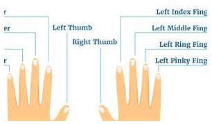 Image result for 3rd Digit Finger