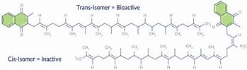 Image result for Vitamin K2 MK4 vs Mk7