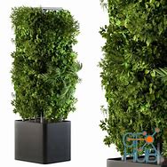 Image result for Outdoor Boxit Plant