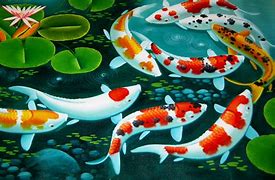 Image result for Foto Pasangan Ikan Koi