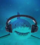 Image result for Shark with Headphones Black and White