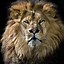 Image result for Black Lion Wallpaper iPhone