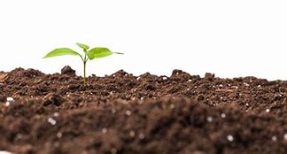 Image result for Soil Fertility