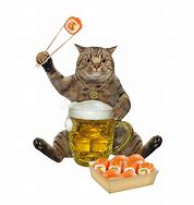 Image result for Cat Drinking Beer