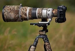 Image result for Telephoto Lens Photography