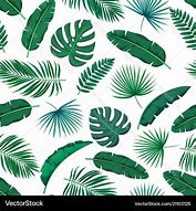 Image result for Tropical Leaves Background Logo