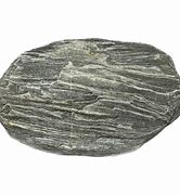 Image result for Schist Disk