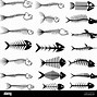 Image result for Bones of Dead Fish