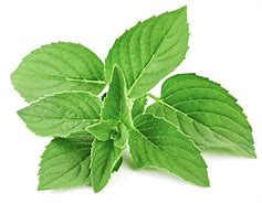 Image result for Cool Mint Vape