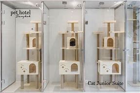 Image result for Pet Hotel