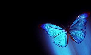 Image result for Black Background Blue Butterfly Wallpaper