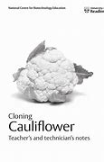 Image result for Cauliflower Cloning Kit