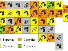 Image result for Functional Ecology