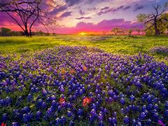 Image result for Spring Evening in the Country