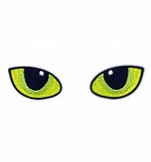 Image result for Cat Eyes at Night