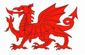 Image result for Welsh Dragon Border