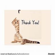 Image result for Toast Cat Thank You