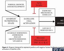 Image result for Atrophy From Steroid Injection