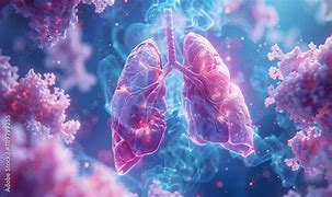 Image result for Lungs of a Person with Asthma