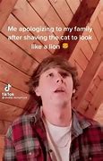 Image result for Cat as Lion Meme