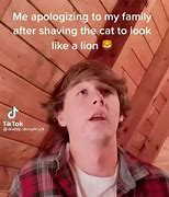 Image result for Cat as Lion Meme