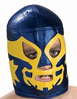 Image result for Mexican Wrestler Mask