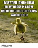 Image result for Duck Love Meme