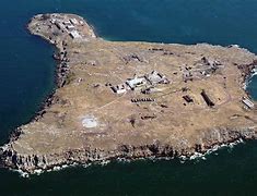 Image result for Snake Island Ukraine