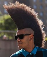 Image result for Wide Mohawk Haircut