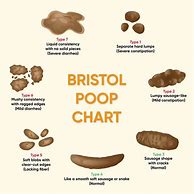 Image result for Know Your Poop Chart