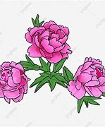 Image result for Peony Bush Vector