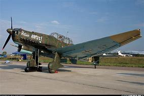 Image result for Ju 87 Replica