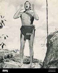 Image result for Johnny Weissmuller Tarzan Treehouse