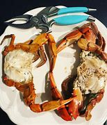 Image result for Clean Blue Crab